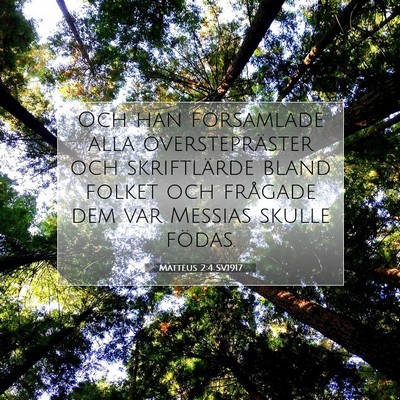 Matteus 2:4 SV1917 Bild av bibelvers