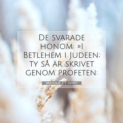 Matteus 2:5 SV1917 Bild av bibelvers