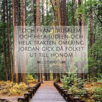 Matteus 3:5 SV1917 Bild av bibelvers