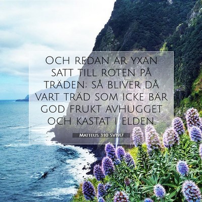Matteus 3:10 SV1917 Bild av bibelvers