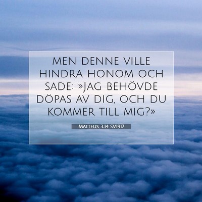 Matteus 3:14 SV1917 Bild av bibelvers