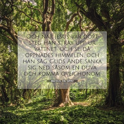 Matteus 3:16 SV1917 Bild av bibelvers