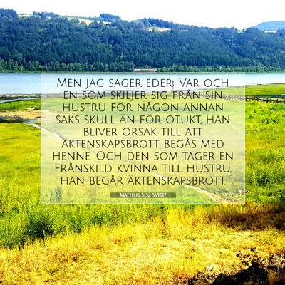 Matteus 5:32 SV1917 Bild av bibelvers