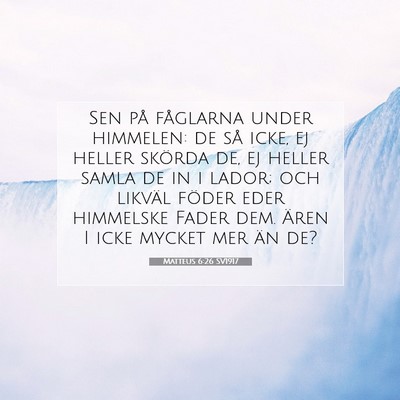 Matteus 6:26 SV1917 Bild av bibelvers