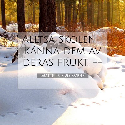 Matteus 7:20 SV1917 Bild av bibelvers