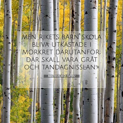 Matteus 8:12 SV1917 Bild av bibelvers