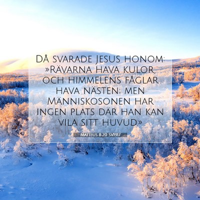 Matteus 8:20 SV1917 Bild av bibelvers