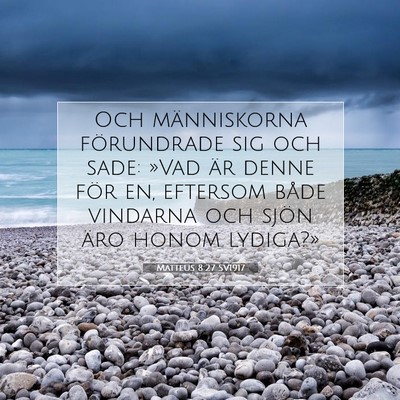 Matteus 8:27 SV1917 Bild av bibelvers