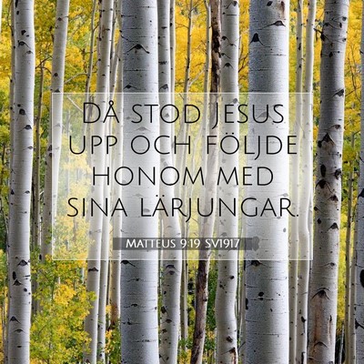 Matteus 9:19 Bibelvers Förklarad