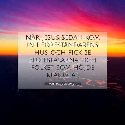 Matteus 9:23 SV1917 Bild av bibelvers