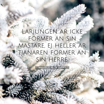Matteus 10:24 SV1917 Bild av bibelvers