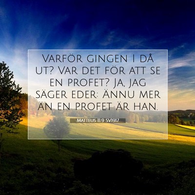 Matteus 11:9 SV1917 Bild av bibelvers