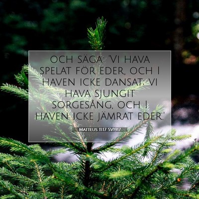 Matteus 11:17 SV1917 Bild av bibelvers