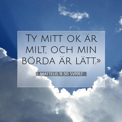Matteus 11:30 SV1917 Bild av bibelvers