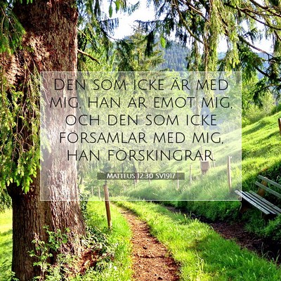 Matteus 12:30 SV1917 Bild av bibelvers