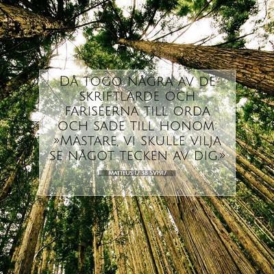 Matteus 12:38 SV1917 Bild av bibelvers