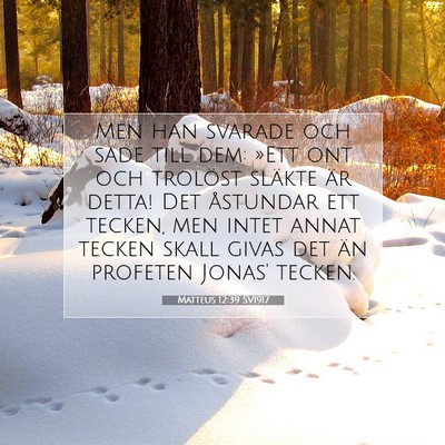 Matteus 12:39 SV1917 Bild av bibelvers