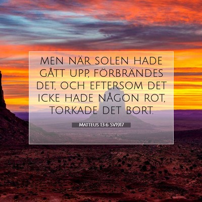 Matteus 13:6 SV1917 Bild av bibelvers