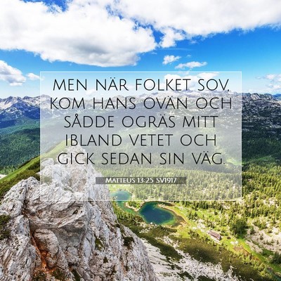 Matteus 13:25 SV1917 Bild av bibelvers