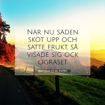Matteus 13:26 SV1917 Bild av bibelvers