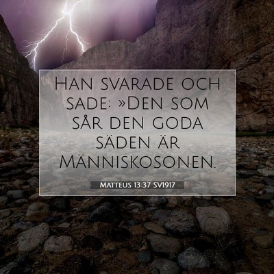 Matteus 13:37 SV1917 Bild av bibelvers
