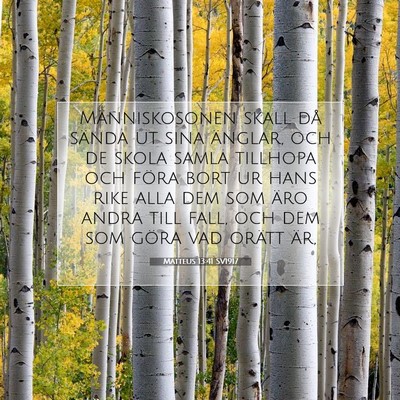 Matteus 13:41 SV1917 Bild av bibelvers