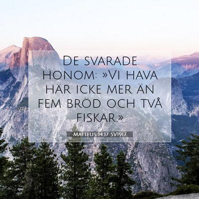 Matteus 14:17 SV1917 Bild av bibelvers