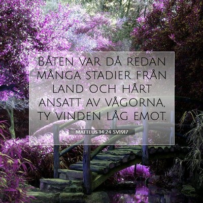 Matteus 14:24 SV1917 Bild av bibelvers