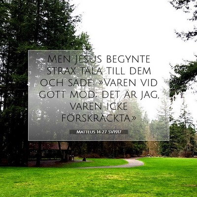 Matteus 14:27 SV1917 Bild av bibelvers