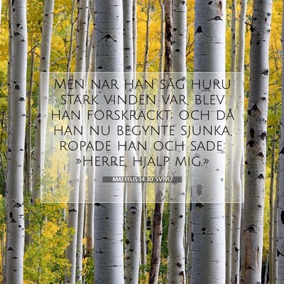 Matteus 14:30 SV1917 Bild av bibelvers