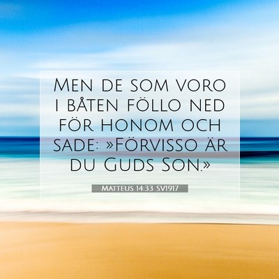 Matteus 14:33 SV1917 Bild av bibelvers