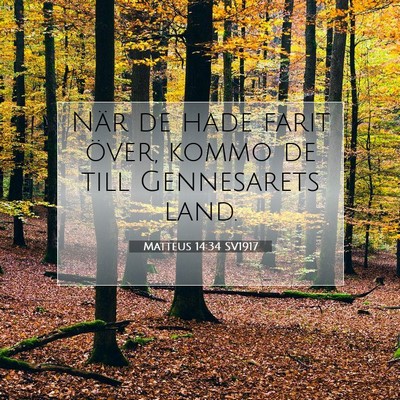 Matteus 14:34 SV1917 Bild av bibelvers