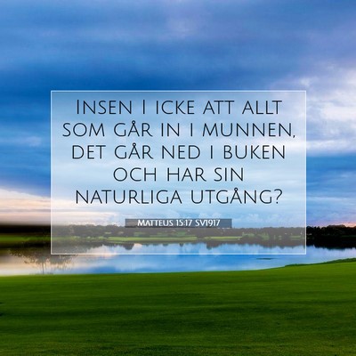 Matteus 15:17 SV1917 Bild av bibelvers