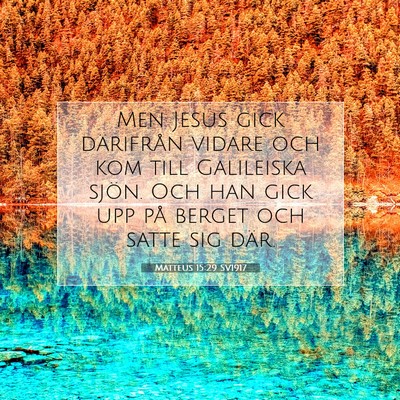 Matteus 15:29 SV1917 Bild av bibelvers