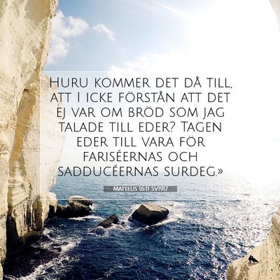 Matteus 16:11 SV1917 Bild av bibelvers