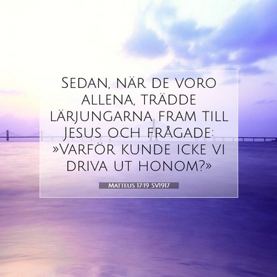 Matteus 17:19 SV1917 Bild av bibelvers