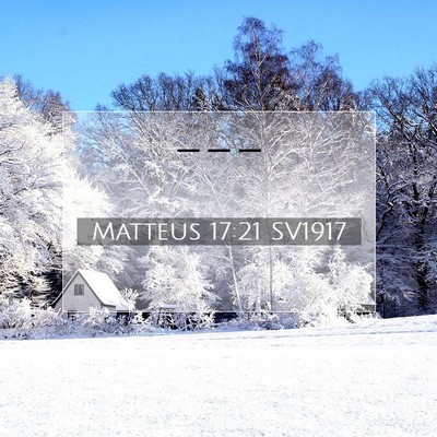Matteus 17:21 Bibelvers Förklarad