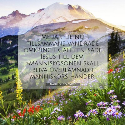 Matteus 17:22 SV1917 Bild av bibelvers