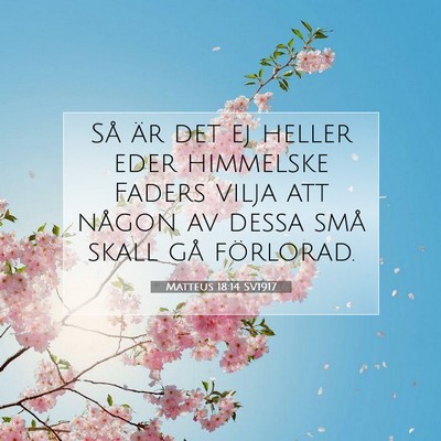 Matteus 18:14 SV1917 Bild av bibelvers