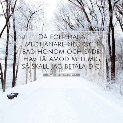 Matteus 18:29 SV1917 Bild av bibelvers