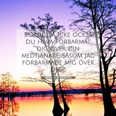 Matteus 18:33 SV1917 Bild av bibelvers