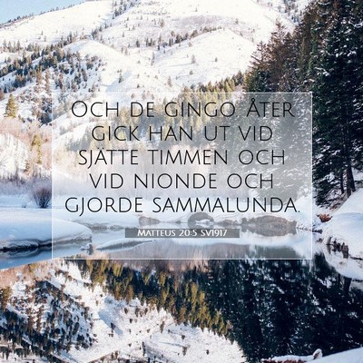 Matteus 20:5 SV1917 Bild av bibelvers
