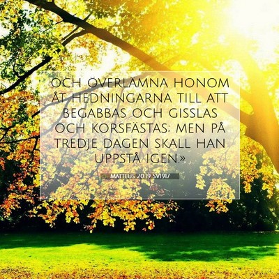 Matteus 20:19 SV1917 Bild av bibelvers