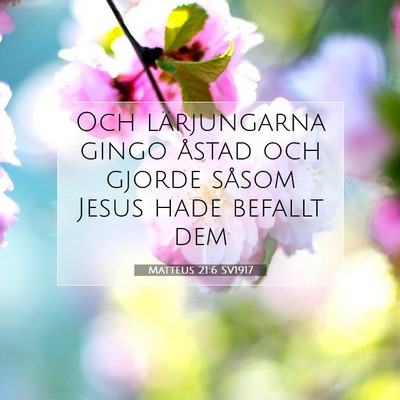Matteus 21:6 SV1917 Bild av bibelvers