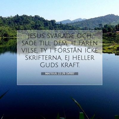 Matteus 22:29 SV1917 Bild av bibelvers