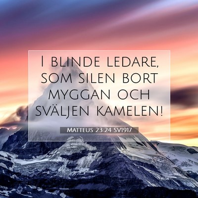 Matteus 23:24 SV1917 Bild av bibelvers