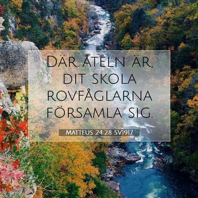 Matteus 24:28 SV1917 Bild av bibelvers