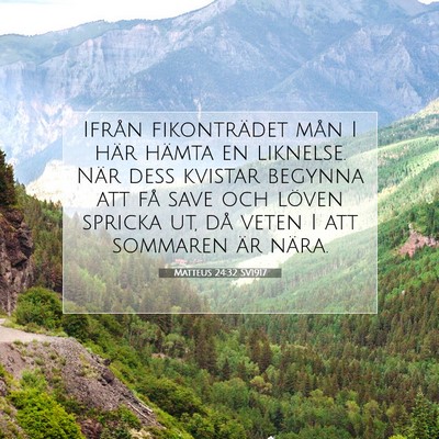 Matteus 24:32 SV1917 Bild av bibelvers