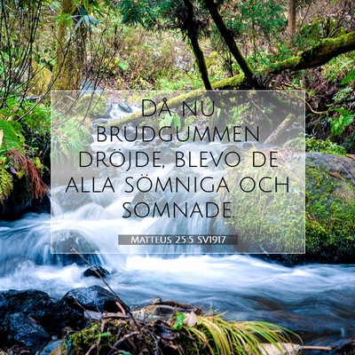 Matteus 25:5 Bibelvers Förklarad