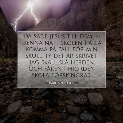 Matteus 26:31 SV1917 Bild av bibelvers